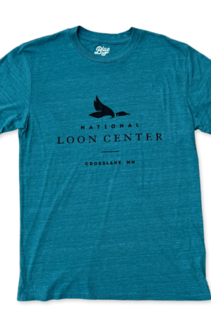 NLC Logo Triblend T-Shirt