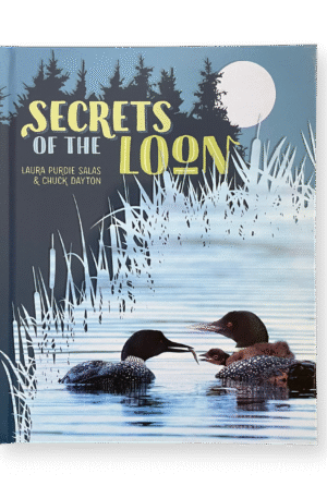 Secrets of the Loon