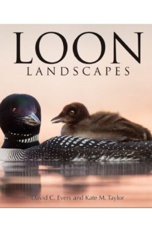 Loon Landscapes